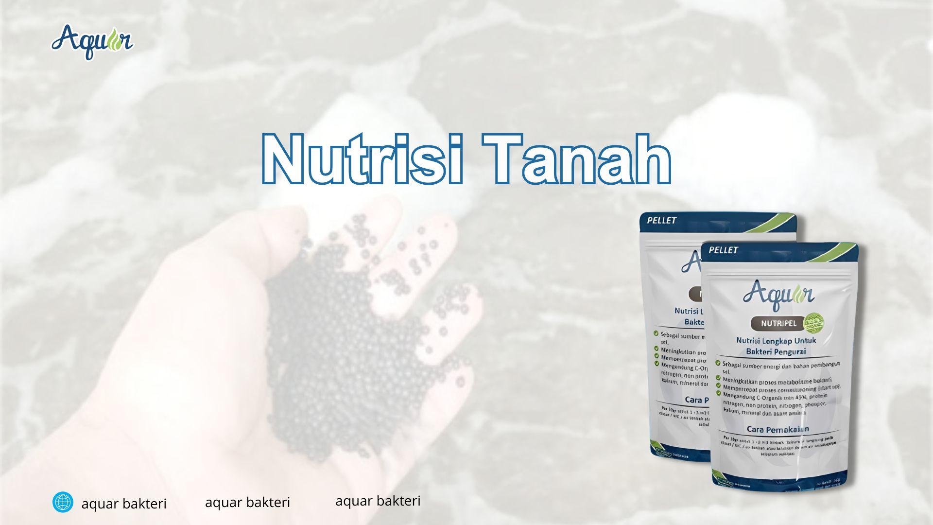 Nutrisi Tanah