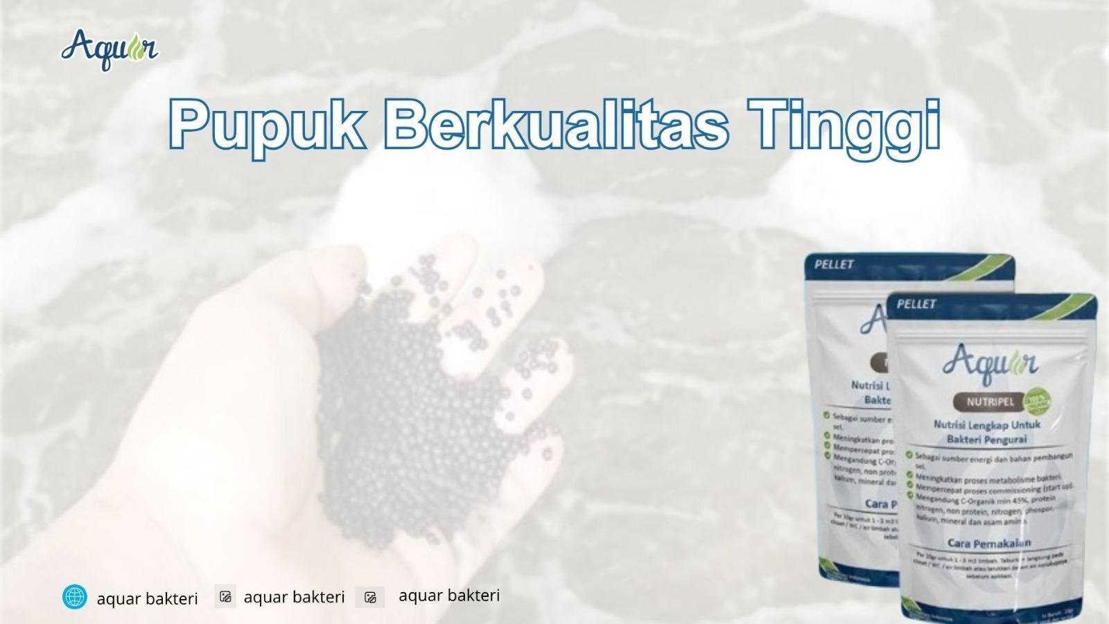 Pupuk Berkualitas Tinggi