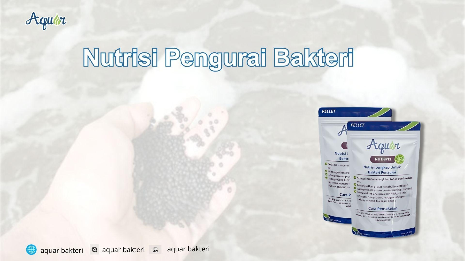 Nutrisi Pengurai Bakteri