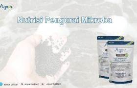 Nutrisi Pengurai Mikroba