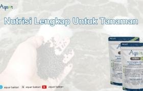 Nutrisi Lengkap Untuk Tanaman