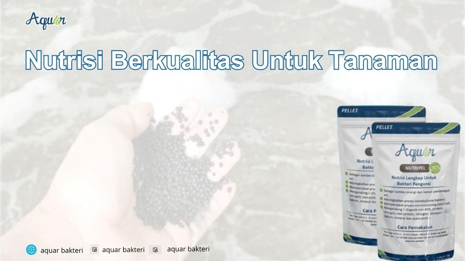 Nutrisi Berkualitas Untuk Tanaman