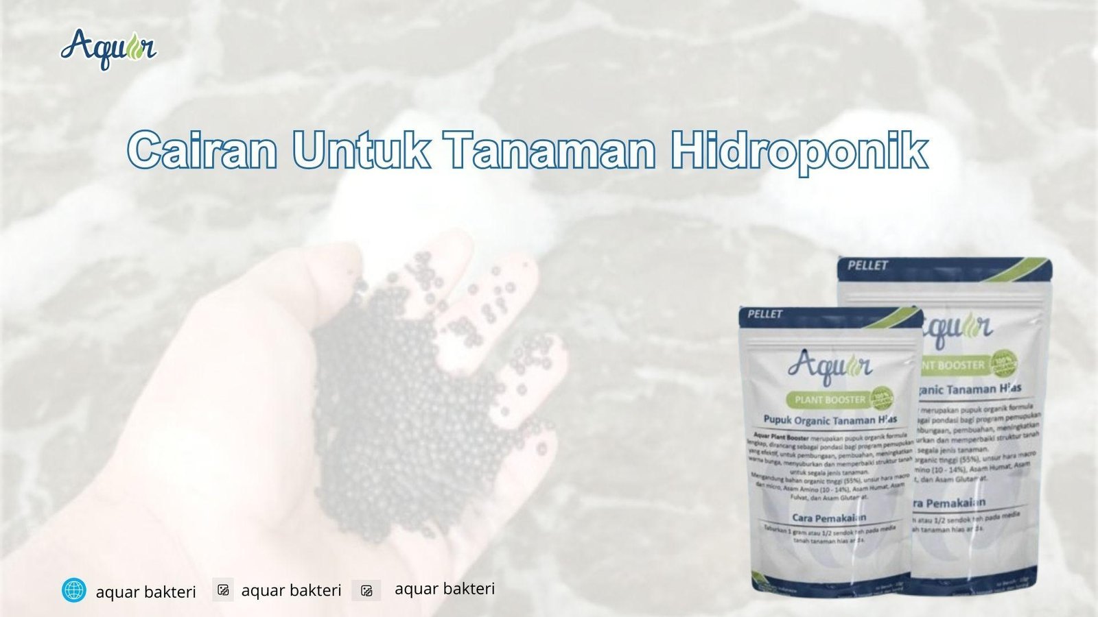 Cairan Untuk Tanaman Hidroponik