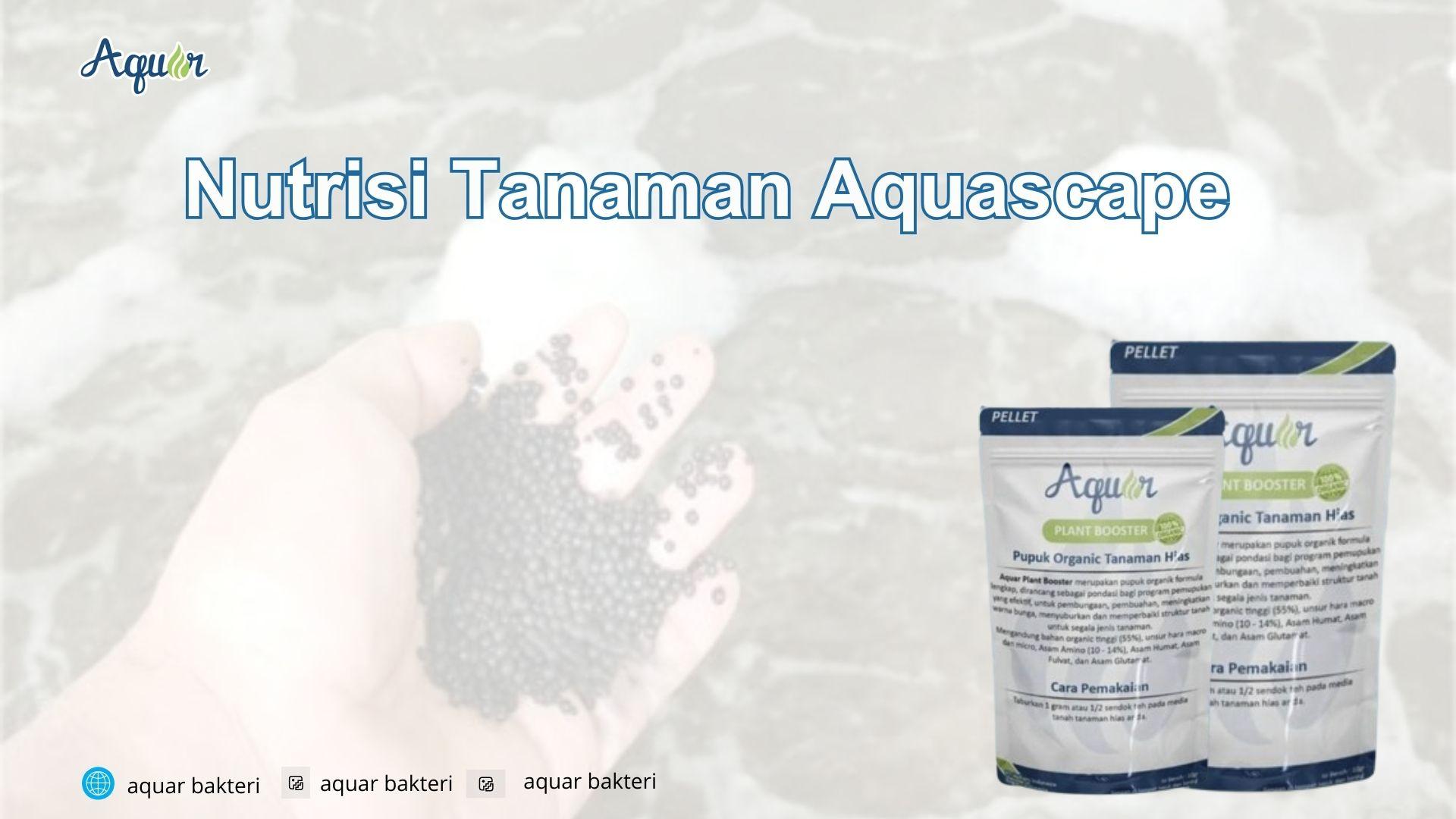 Nutrisi Tanaman Aquascape
