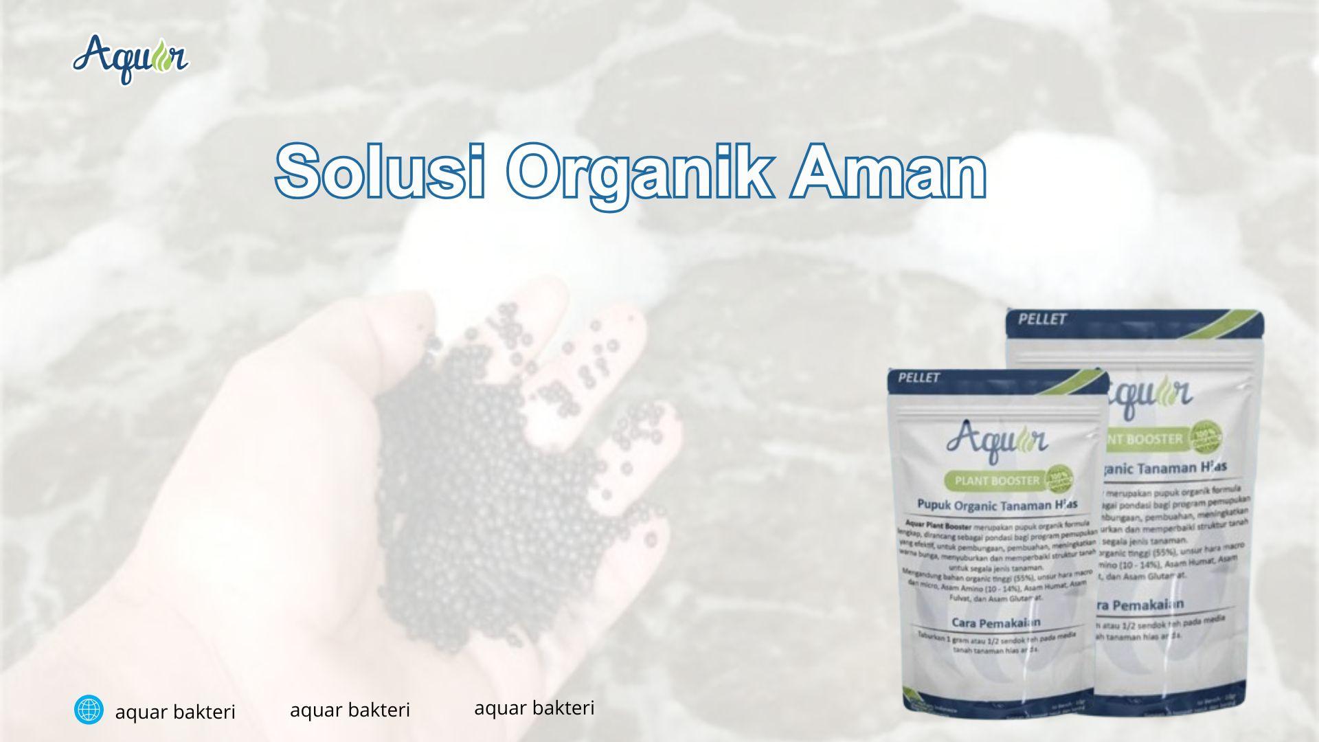 Solusi Organik Aman