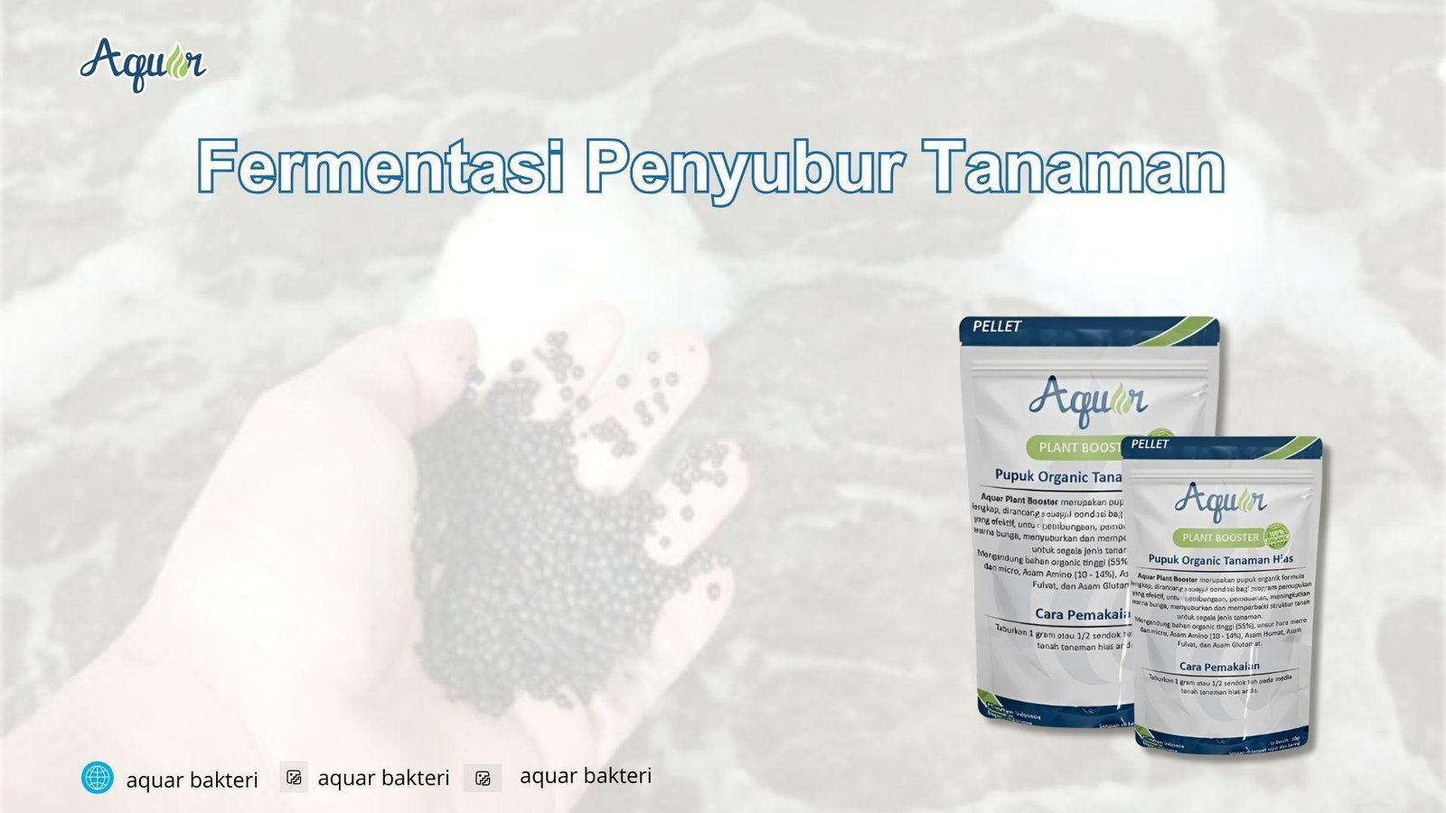 Fermentasi Penyubur Tanaman