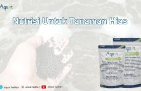 Nutrisi Untuk Tanaman Hias