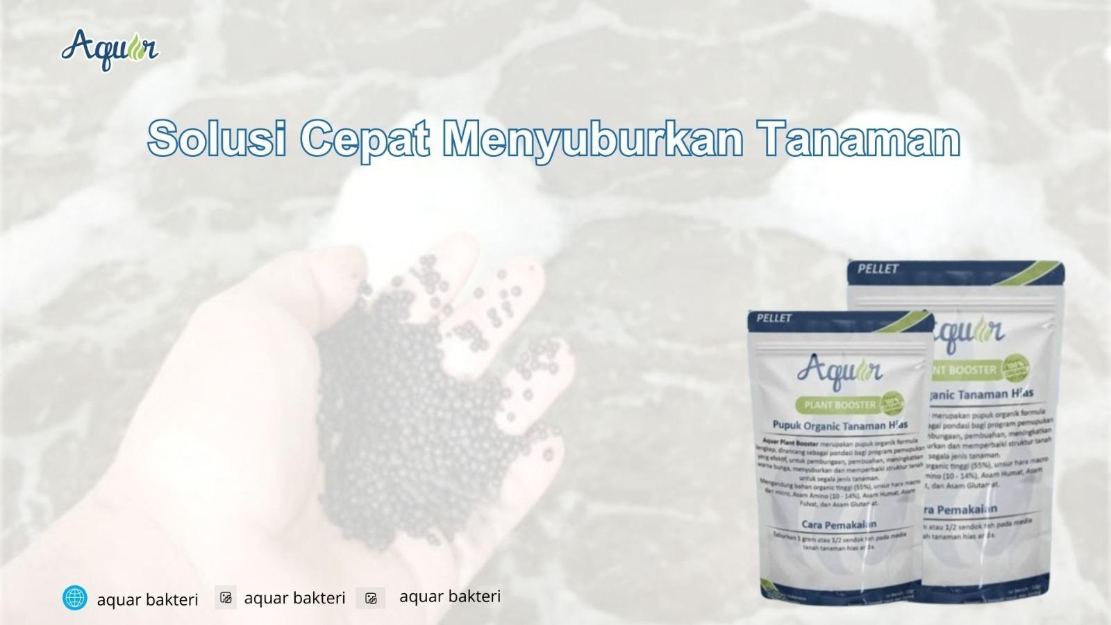 Solusi Cepat Menyuburkan Tanaman