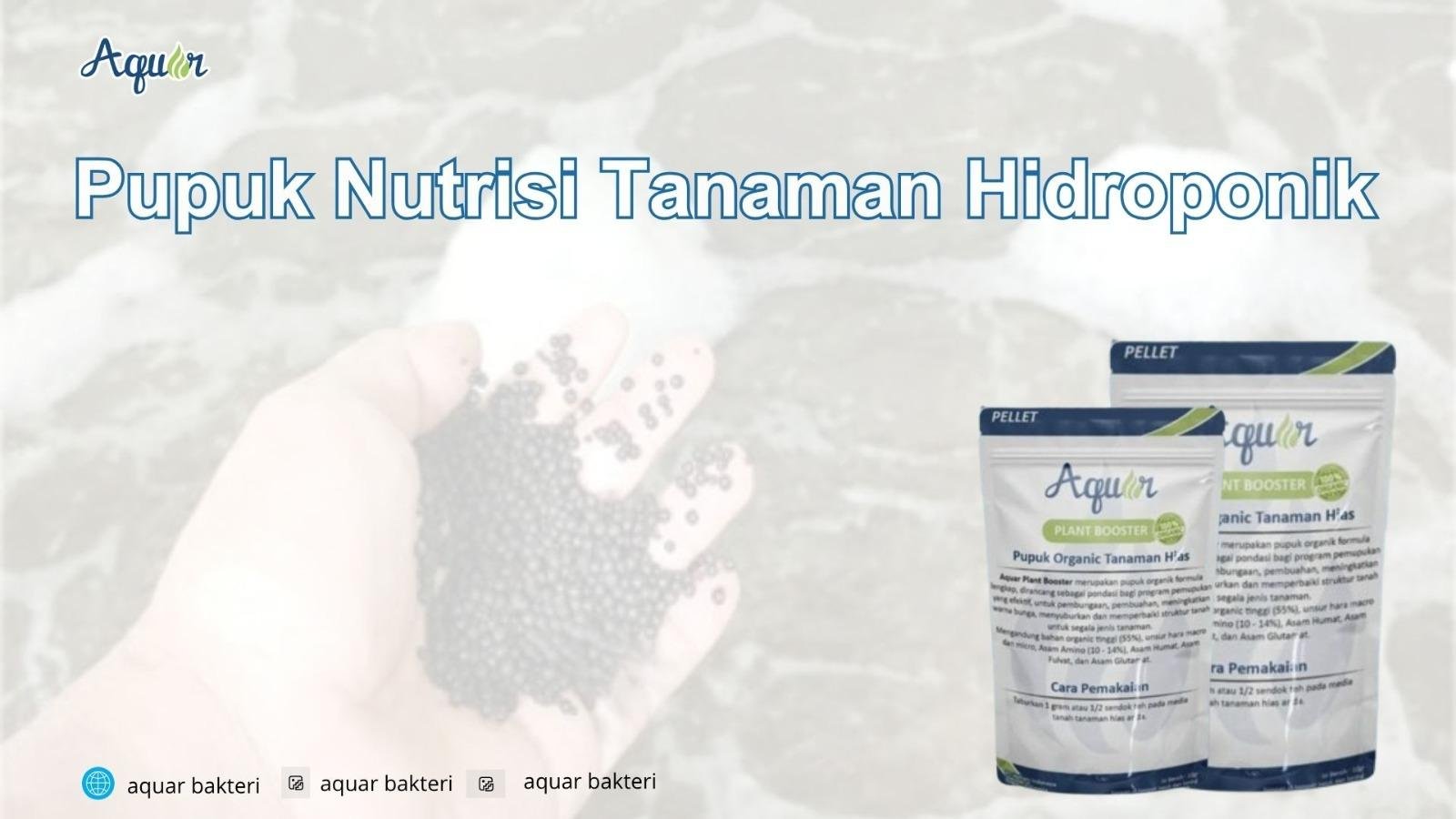 Pupuk Nutrisi Tanaman Hidroponik