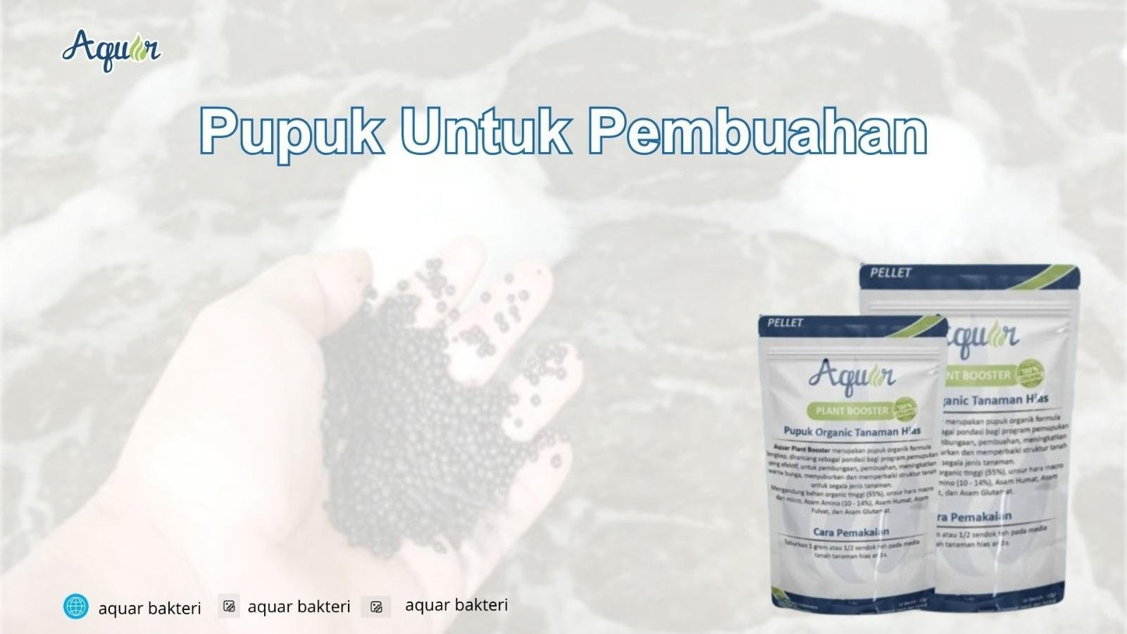 Pupuk Untuk Pembuahan