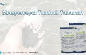 Mempercepat Tumbuh Tanaman