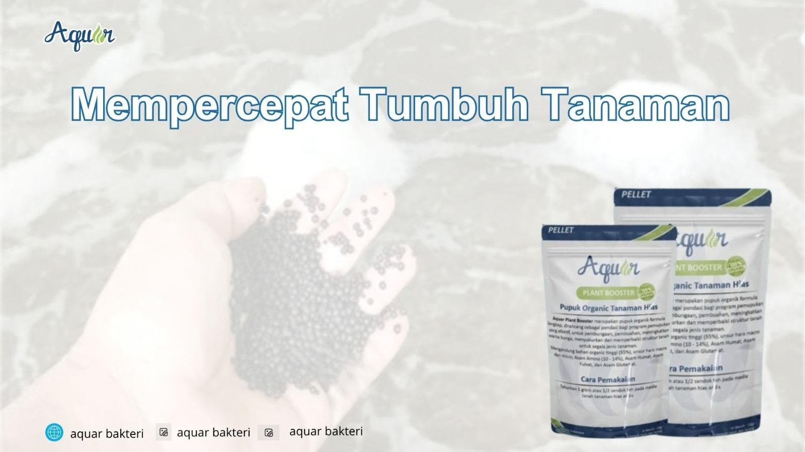 Mempercepat Tumbuh Tanaman