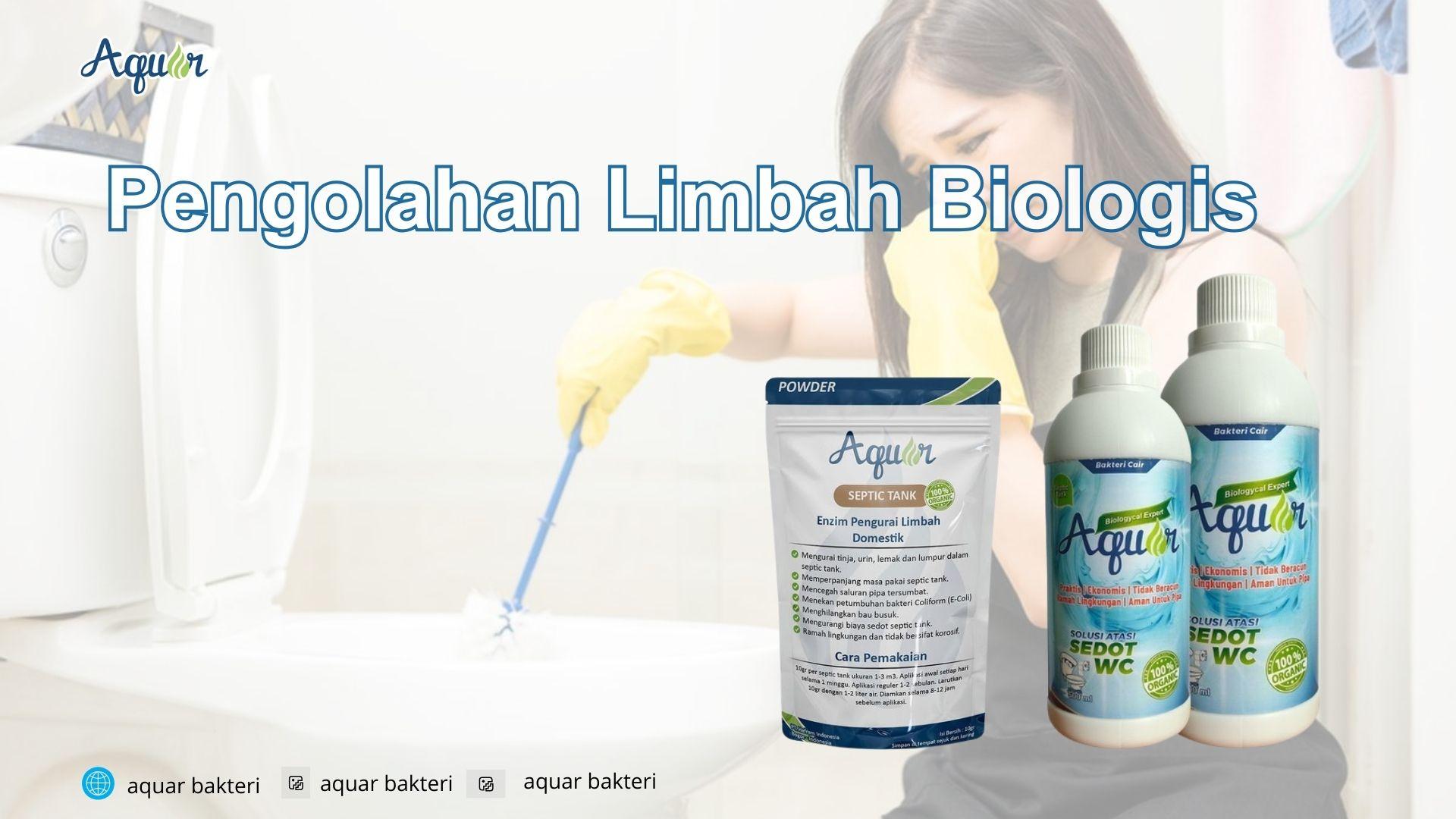 Pengolahan Limbah Biologis