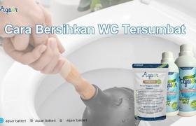 Cara Bersihkan WC Tersumbat