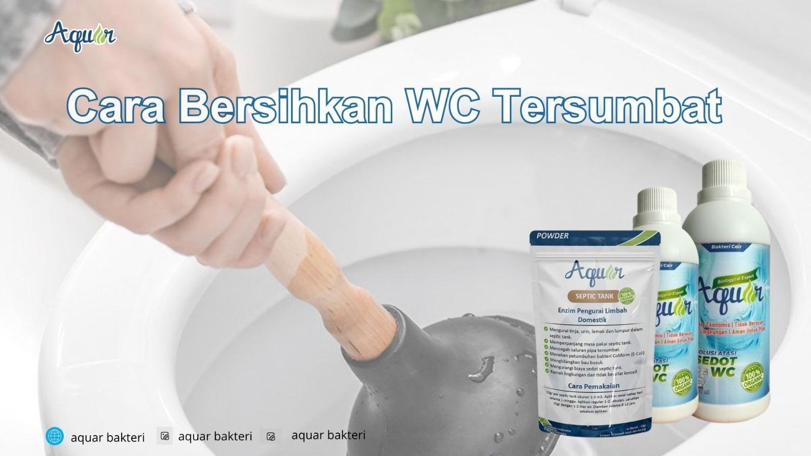 Cara Bersihkan WC Tersumbat