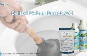 Solusi Bebas Sedot WC