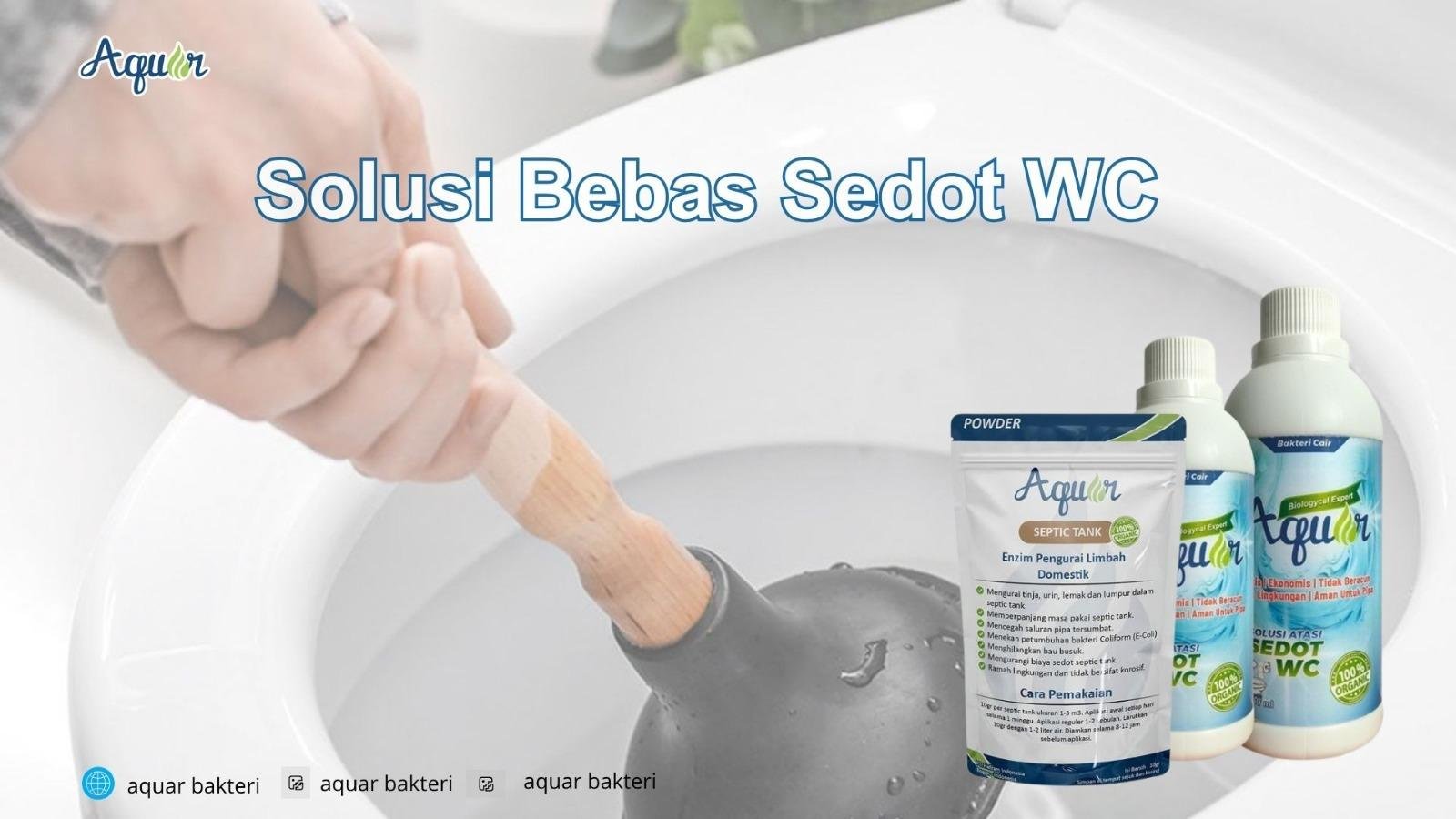 Solusi Bebas Sedot WC