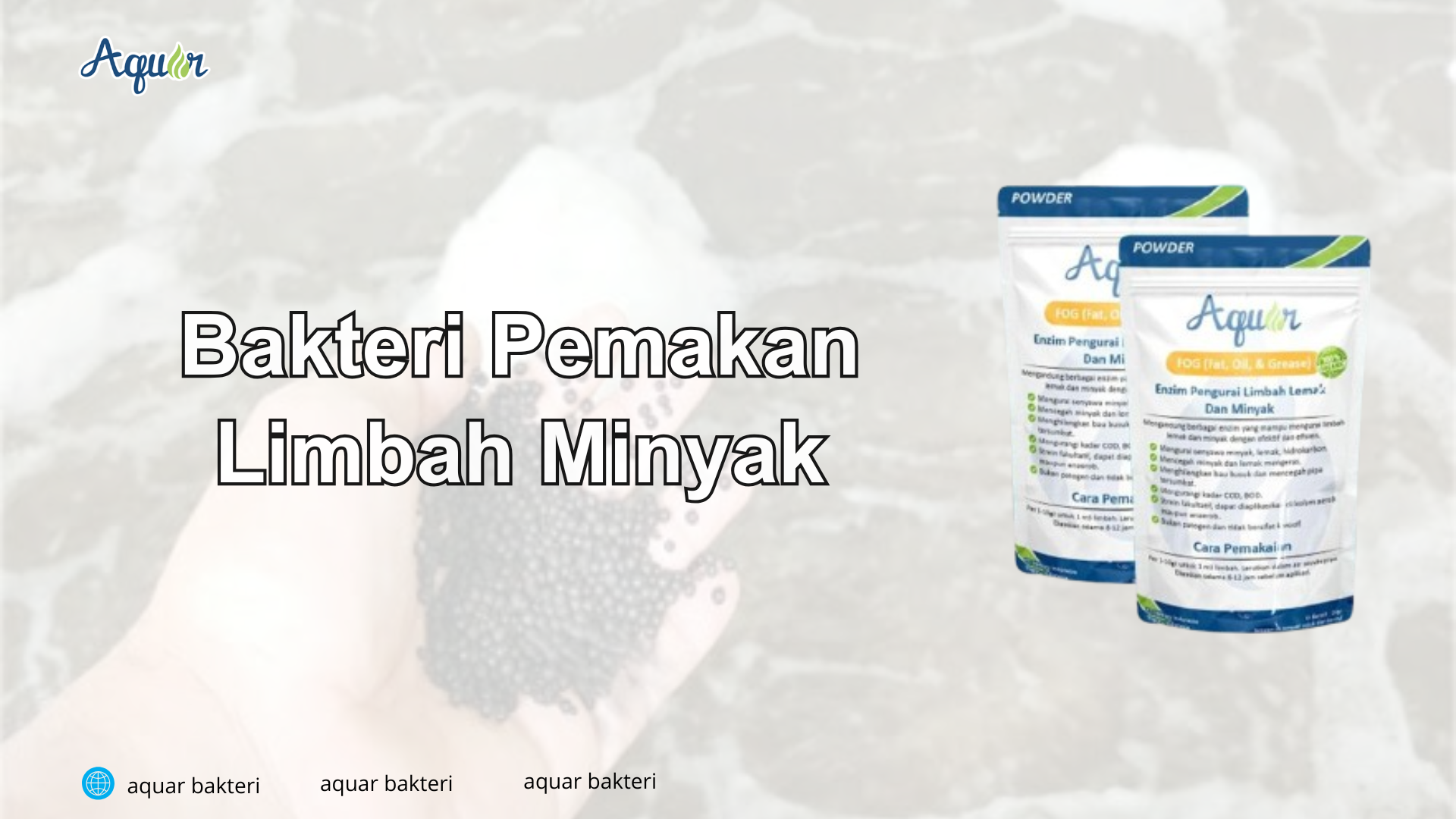 Bakteri Pemakan Limbah Minyak