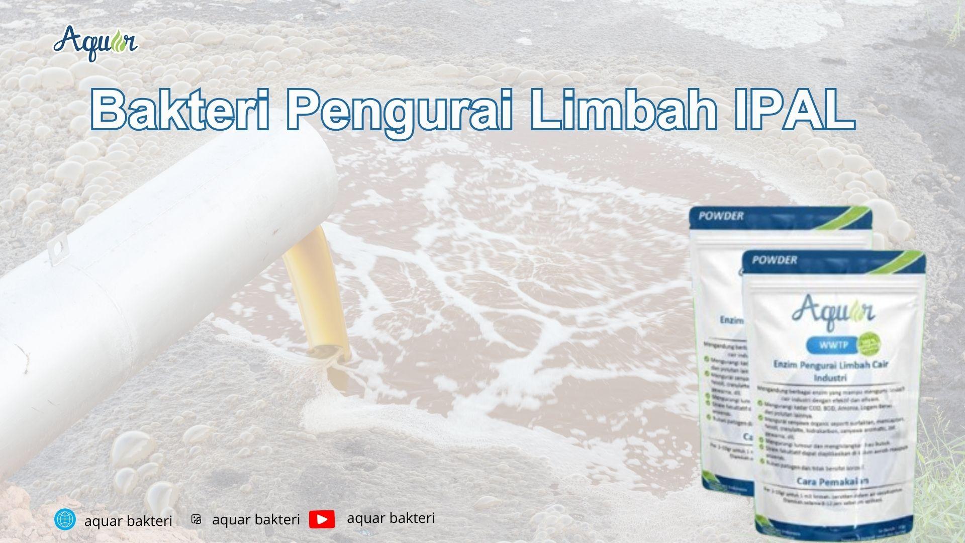 Bakteri Pengurai Limbah IPAL