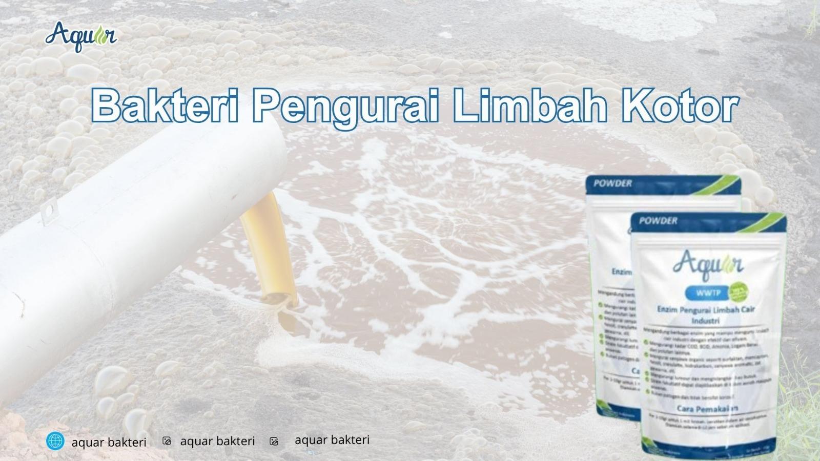 Bakteri Pengurai Limbah Kotor