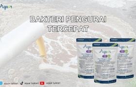 Bakteri Pengurai Tercepat