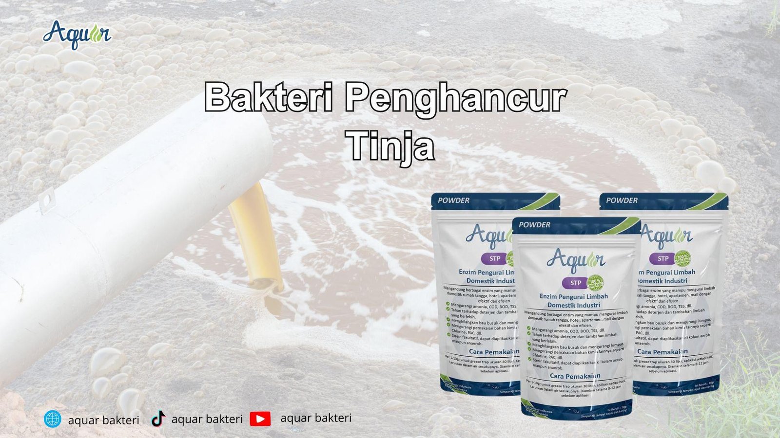 Bakteri Penghancur Tinja