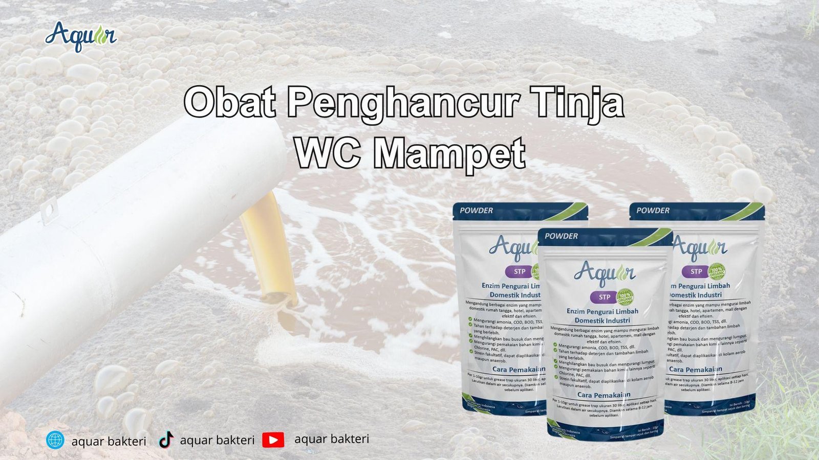 Obat Penghancur Tinja WC Mampet