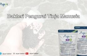 Bakteri Pengurai Tinja Manusia