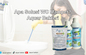 Apa Solusi WC Mampet