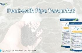 Pembersih Pipa Tersumbat