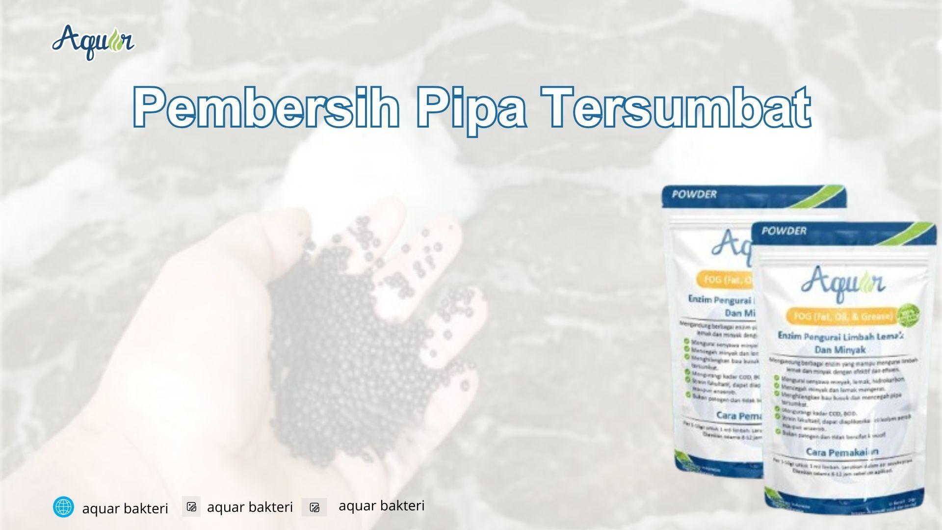Pembersih Pipa Tersumbat