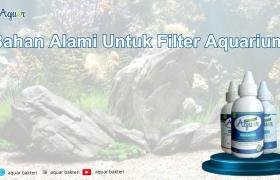 Bahan Alami Untuk Filter Aquarium