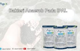 Bakteri Anaerob Pada IPAL