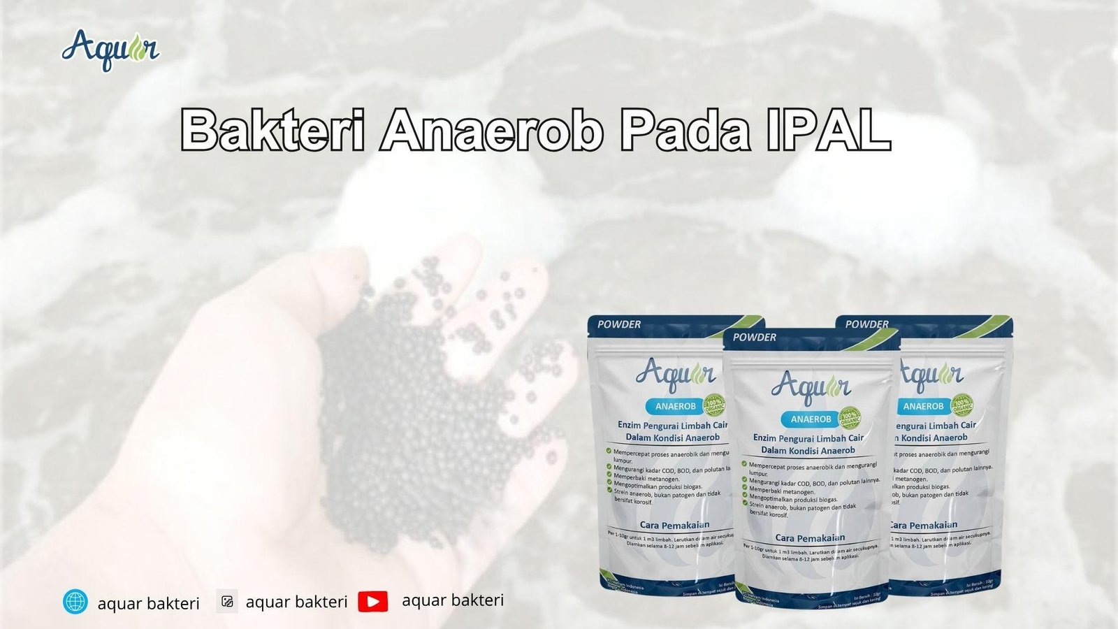 Bakteri Anaerob Pada IPAL