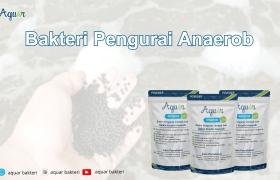 Bakteri Pengurai Anaerob