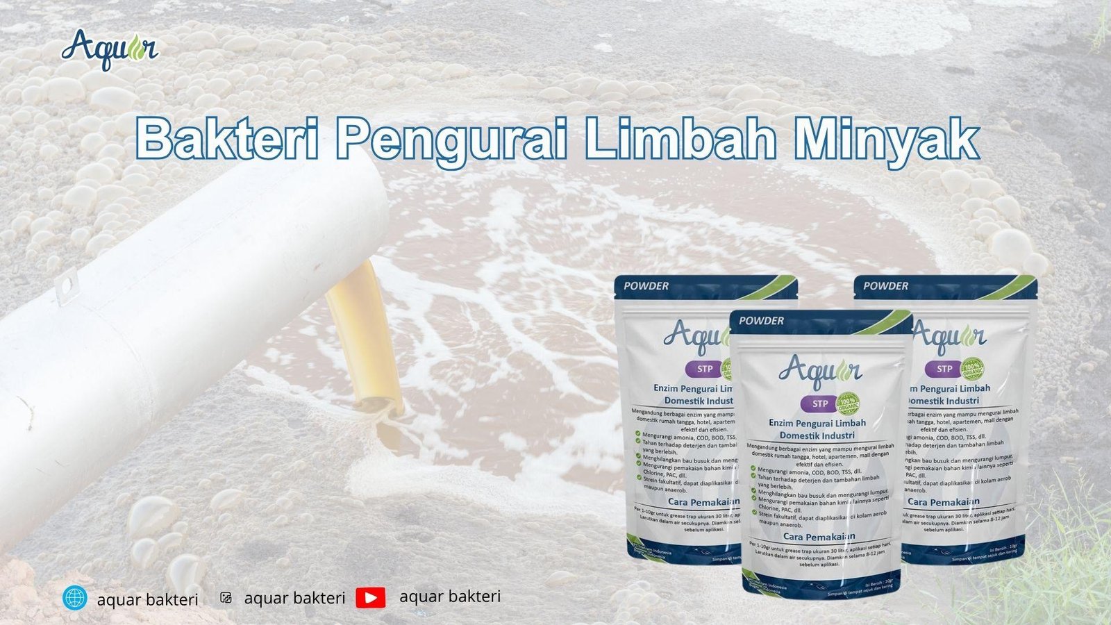 Bakteri Pengurai Limbah Minyak