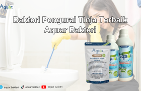 Bakteri Pengurai Tinja Terbaik