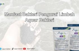 Bakteri Untuk Limbah