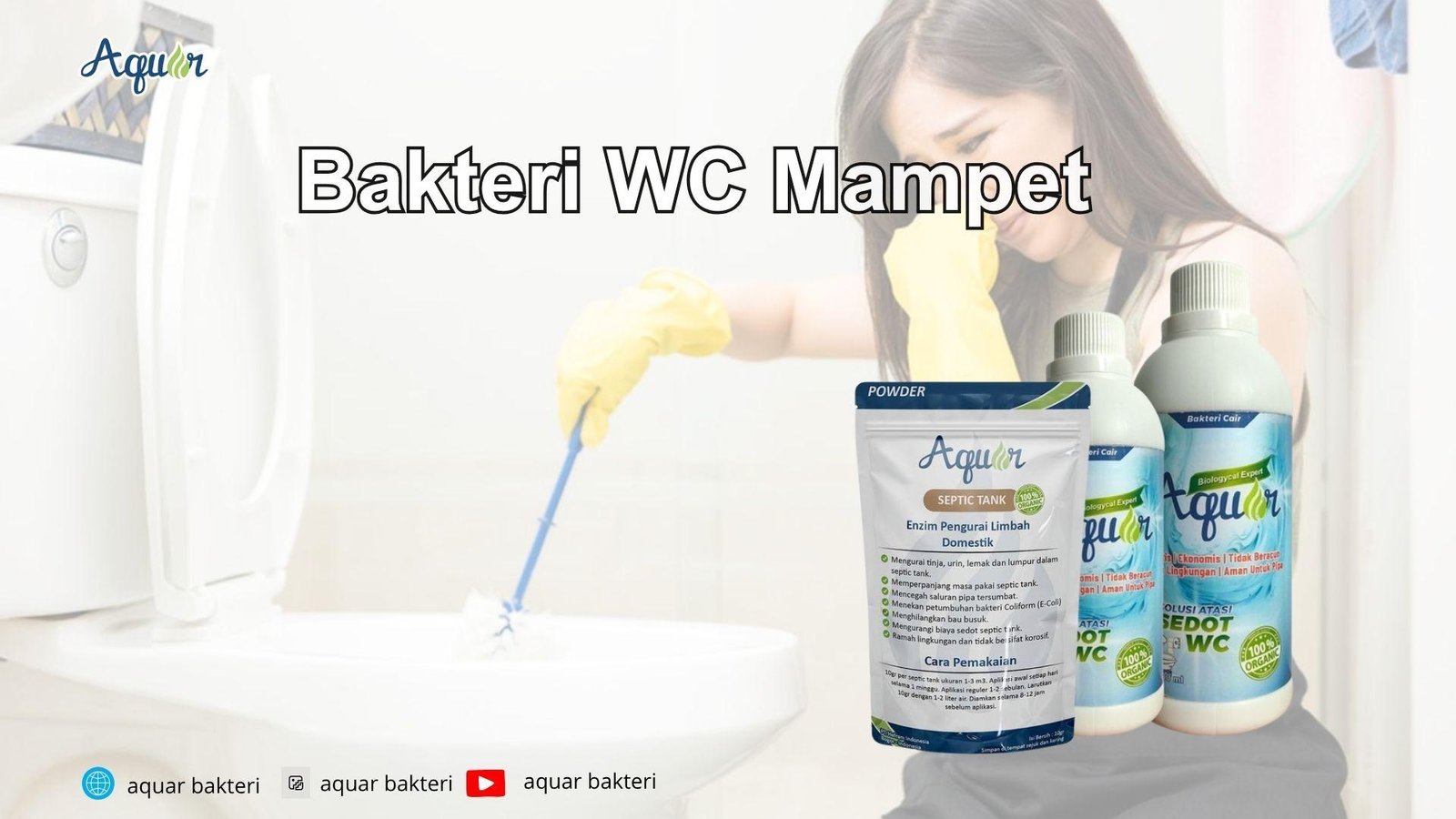 Bakteri WC Mampet