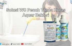 Solusi WC Penuh Tanpa Kuras