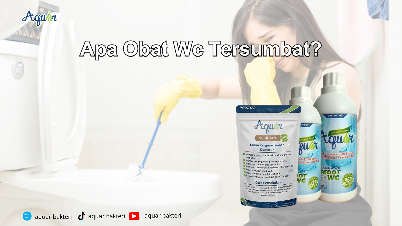 Apa Obat Wc Tersumbat?