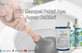 WC Mampet Pakai Apa