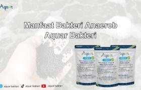 Manfaat Bakteri Anaerob