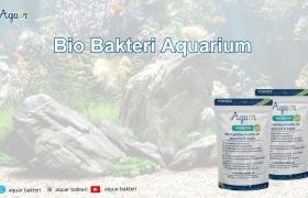 Bio Bakteri Aquarium