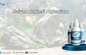 Cairan Bakteri Aquarium