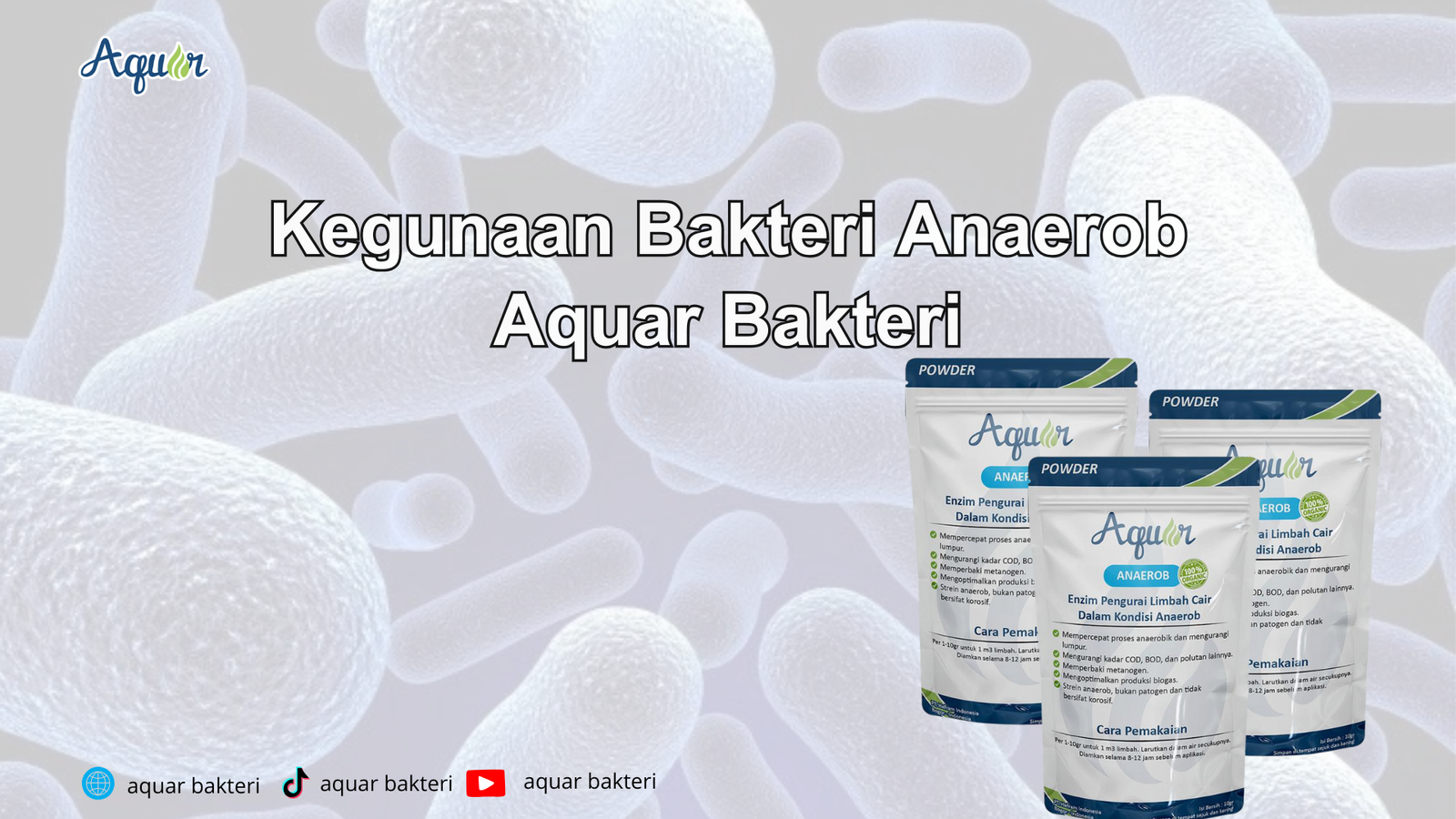 Kegunaan Bakteri Anaerob