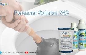 Pelancar Saluran Wc