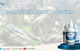 Penghilang Lumut Aquarium