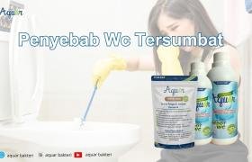 Penyebab Wc Tersumbat