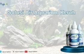 Solusi Air Aquarium Keruh